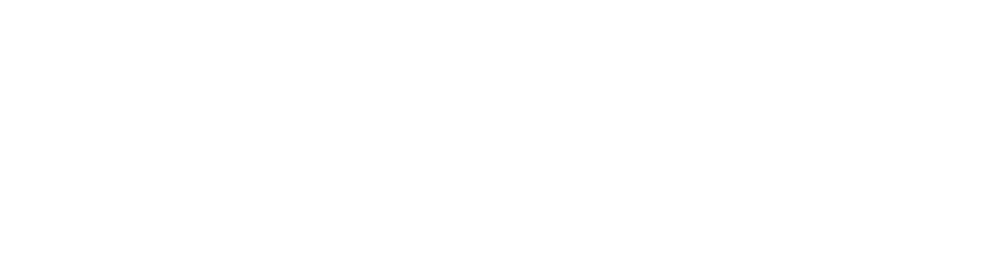 PetVivo
